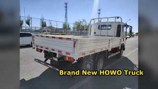 Brand New HOWO 4x2 Light Truck Reliable Cargo Transport